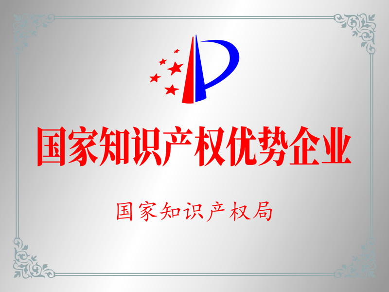 National Intellectual Property Advantage Enterprise